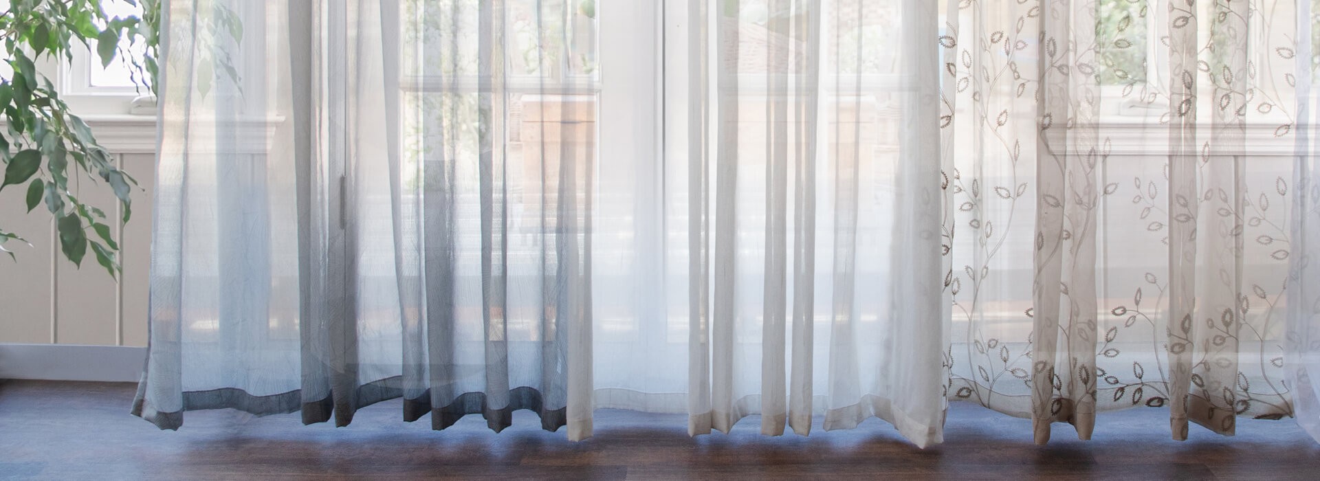 Sheer Curtains Volpes